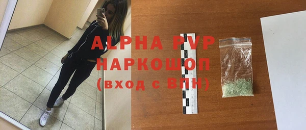 гашик Ельня
