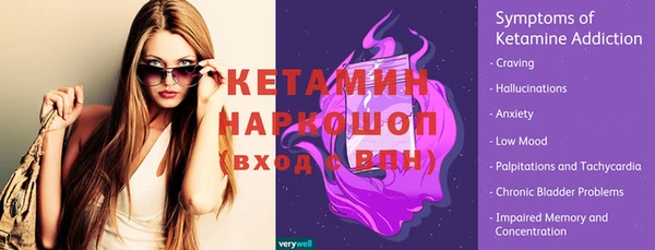 ECSTASY Елизово