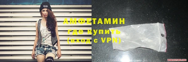 гашик Ельня