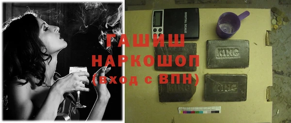 гашик Ельня