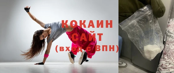 гашик Ельня