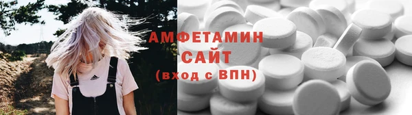 гашик Ельня