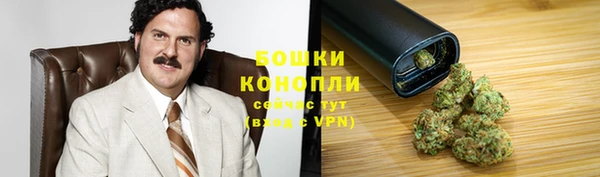 гашик Ельня