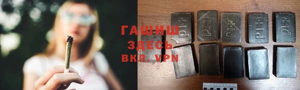 гашик Ельня