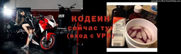 гашик Ельня