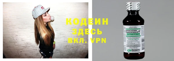 гашик Ельня