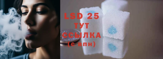 2c-b Дмитриев
