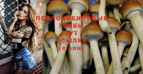 гашик Ельня