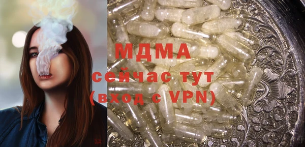 гашик Ельня