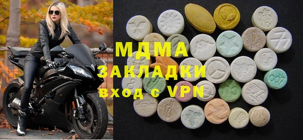 гашик Ельня