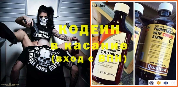гашик Ельня