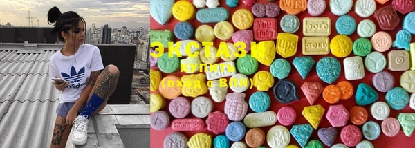 ECSTASY Елизово
