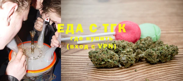 гашик Ельня