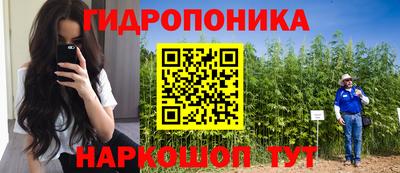 эйфоретик Шахты