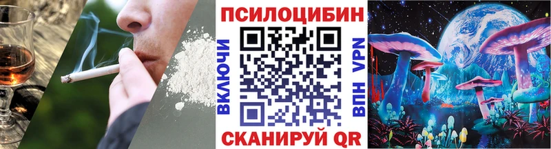 Псилоцибиновые грибы Psilocybine cubensis  Невинномысск 