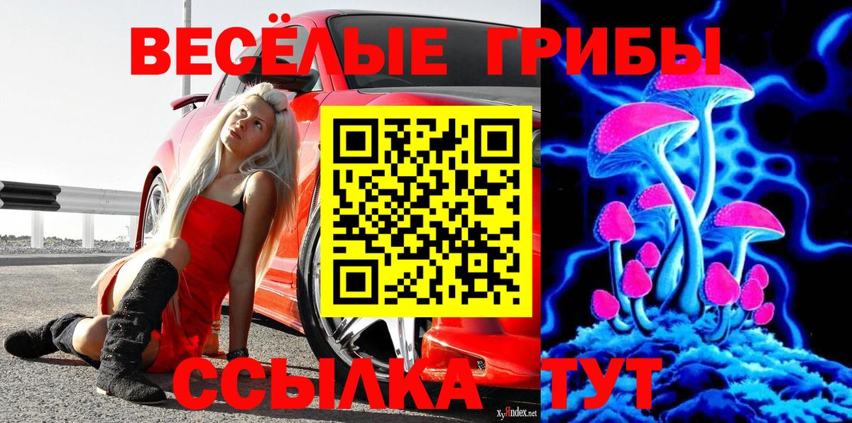Невинномысск  Галлюциногенные грибы GOLDEN TEACHER  Вход с VPN 