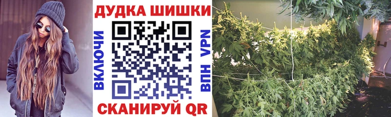 хочу   Невинномысск  Конопля гибрид 