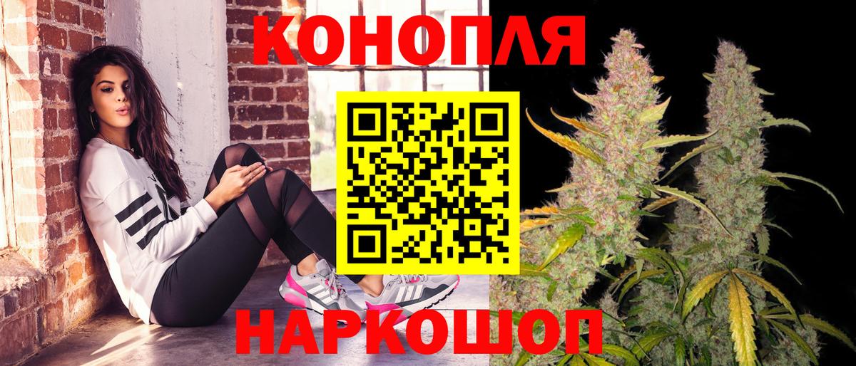 Бошки Шишки конопля Невинномысск